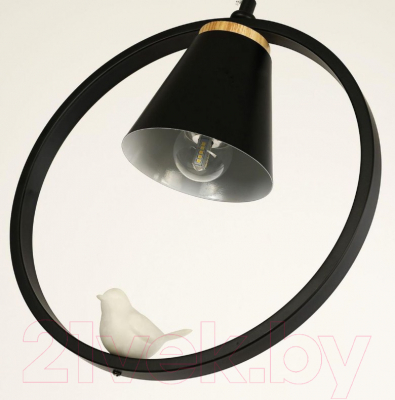 Потолочный светильник FAVOURITE F-Promo Uccello / 2938-1P