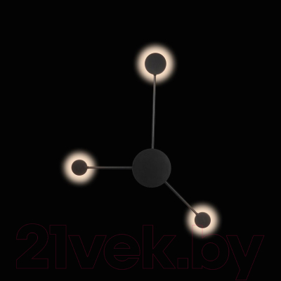 Светильник Loftit Rays 10059BK