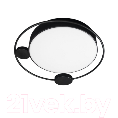 Потолочный светильник Loftit Mike 10062 - фото