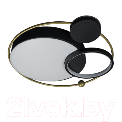 Потолочный светильник Loftit Mike 10064 - фото