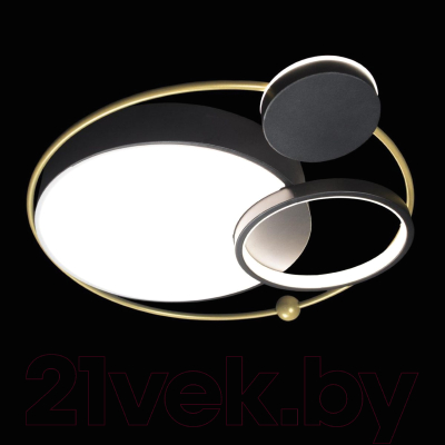 Потолочный светильник Loftit Mike 10064