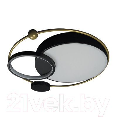 Потолочный светильник Loftit Mike 10064