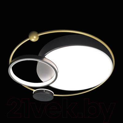 Потолочный светильник Loftit Mike 10064