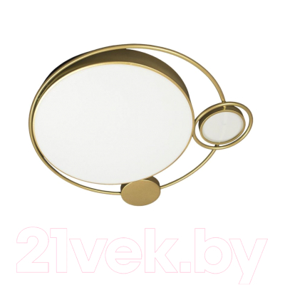 Потолочный светильник Loftit Mike 10065 - фото