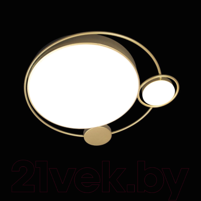 Потолочный светильник Loftit Mike 10065