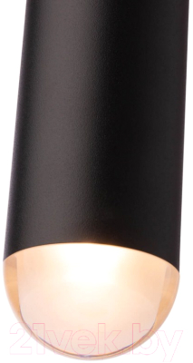 Потолочный светильник Loftit 1511-BL