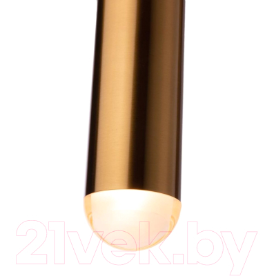 Потолочный светильник Loftit 1511-BR