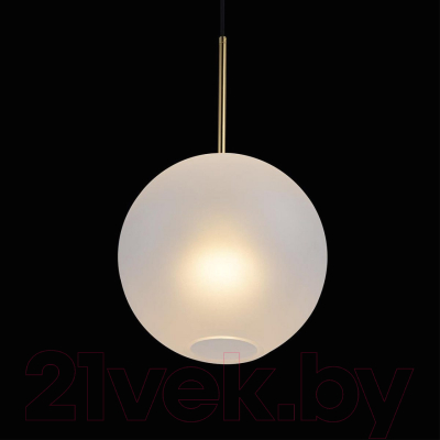 Потолочный светильник Loftit 2030-P1