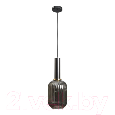 Потолочный светильник Loftit 2070-A+BL - фото