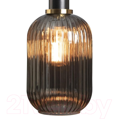 Потолочный светильник Loftit 2070-A+BL