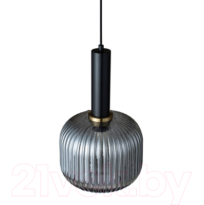 Потолочный светильник Loftit 2070-B+BL