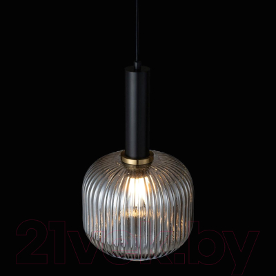 Потолочный светильник Loftit 2070-B+BL