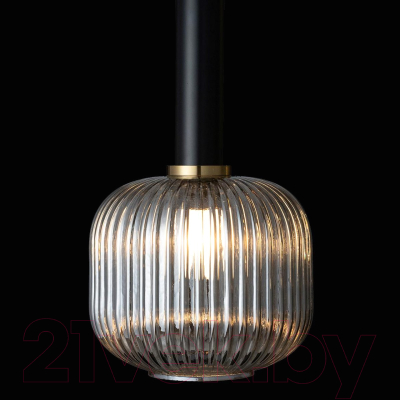 Потолочный светильник Loftit 2070-B+BL