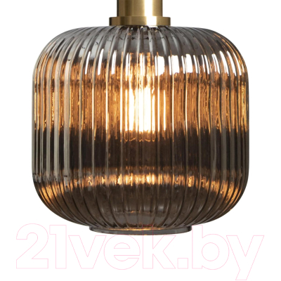 Потолочный светильник Loftit 2070-B+BR