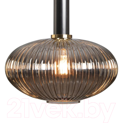 Потолочный светильник Loftit 2070-C+BL