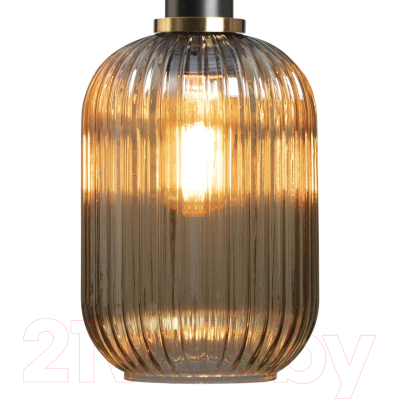 Потолочный светильник Loftit 2071-A+BL