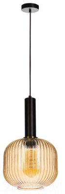 Потолочный светильник Loftit 2071-B+BL - фото