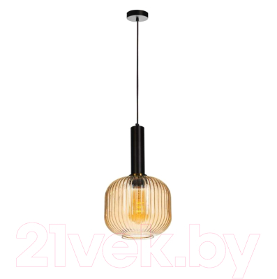 Потолочный светильник Loftit 2071-B+BL