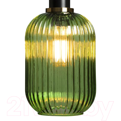 Потолочный светильник Loftit 2072-A+BL