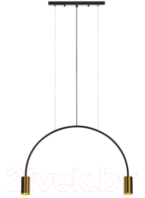 Потолочный светильник Loftit 5043-2 - фото