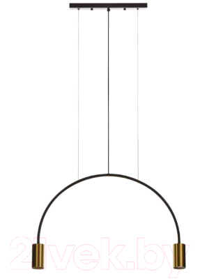 Потолочный светильник Loftit 5043-2