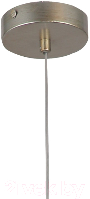 Потолочный светильник FAVOURITE Arabesco 2912-1P