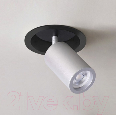 Точечный светильник FAVOURITE Angularis 2803-1C