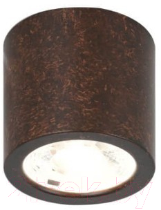 Точечный светильник FAVOURITE Deorsum 2809-1C - фото