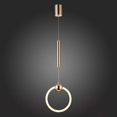 Потолочный светильник ST Luce Giera SL1578.203.01