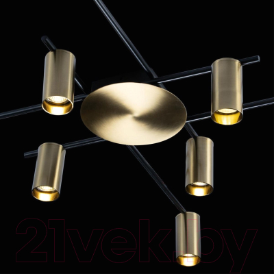 Люстра Loftit Tribes 8120C-10