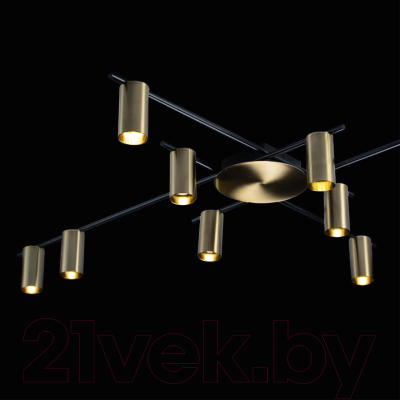 Люстра Loftit Tribes 8120C-10