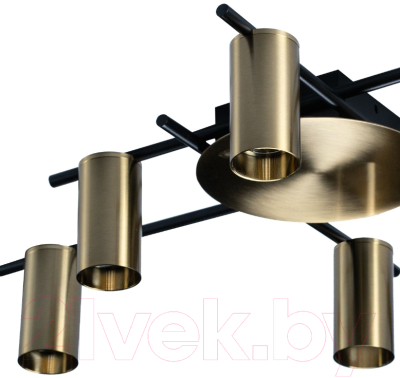 Люстра Loftit Tribes 8120C-6