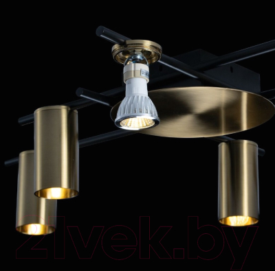 Люстра Loftit Tribes 8120C-6