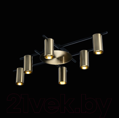 Люстра Loftit Tribes 8120C-6