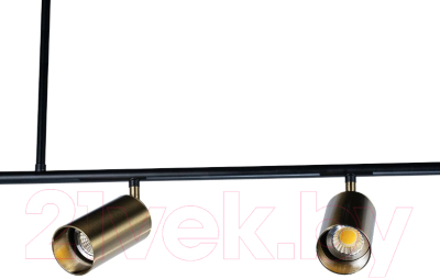 Люстра Loftit Tribes 8120P-5