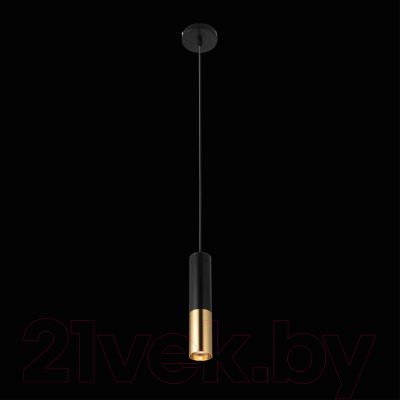 Потолочный светильник Loftit Ike 9952-1