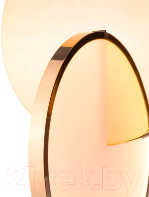 Потолочный светильник Loftit 9970B