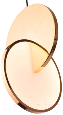 Потолочный светильник Loftit 9970B