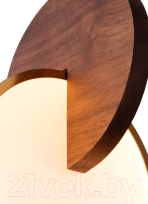 Потолочный светильник Loftit 9970C