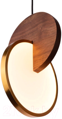 Потолочный светильник Loftit 9970C