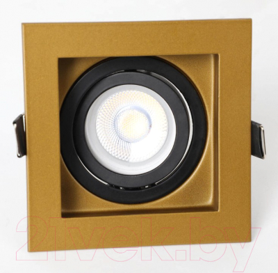 Точечный светильник FAVOURITE Retro 2791-1C