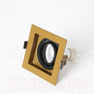 Точечный светильник FAVOURITE Retro 2791-1C