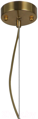 Потолочный светильник FAVOURITE Wonderland 2907-1P