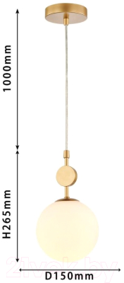 Потолочный светильник FAVOURITE Absolute 2928-1P