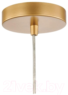 Потолочный светильник FAVOURITE Absolute 2928-1P