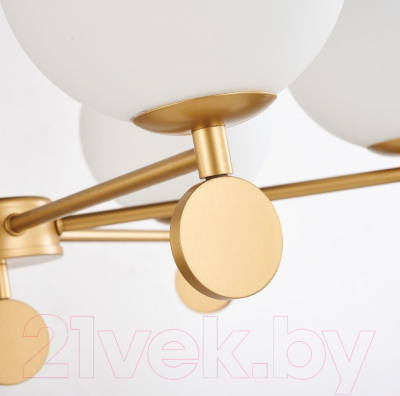 Люстра FAVOURITE Absolute 2928-6P