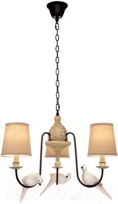 Люстра Loftit Birds LOFT1029A-3 - фото