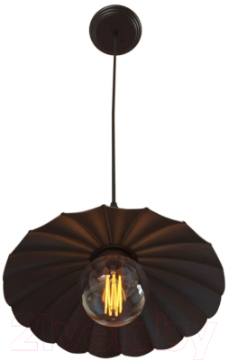 Потолочный светильник Loftit LOFT1101