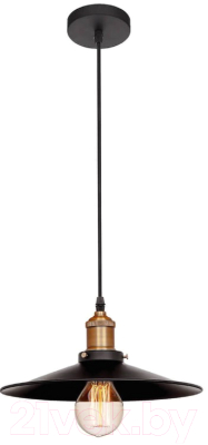 Потолочный светильник Loftit LOFT1102 - фото