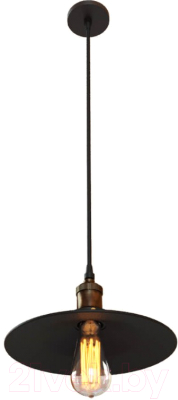 Потолочный светильник Loftit LOFT1102